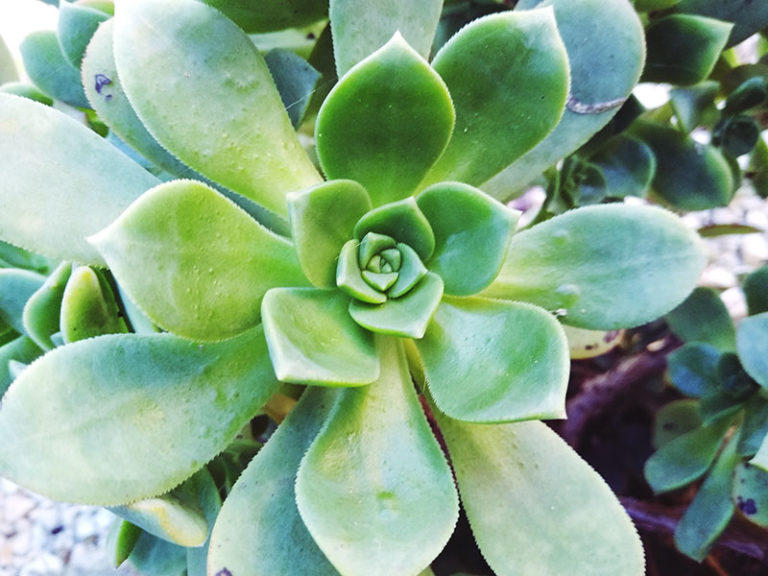 Funny Last Names Amusing SingleWord Surnames & Hilarious Hyphenated