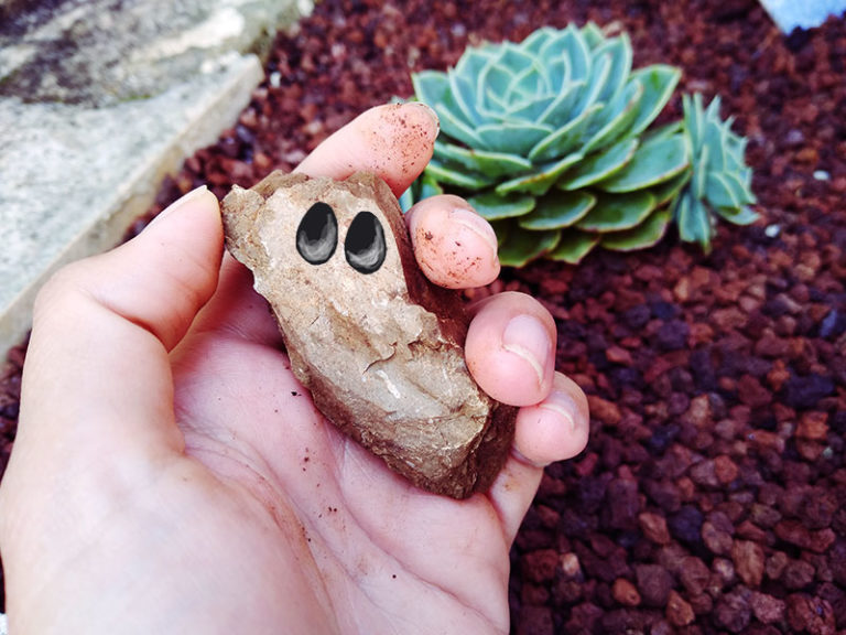 Pet Rock Names Funny & Fun From Rocky to Sylvester the Stone