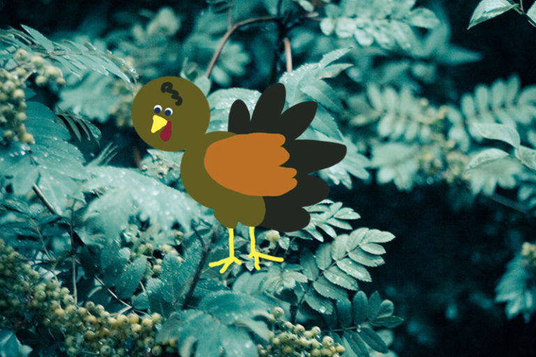 Names for Pet Turkeys From Tom & Tanya to Giblets & Gravy