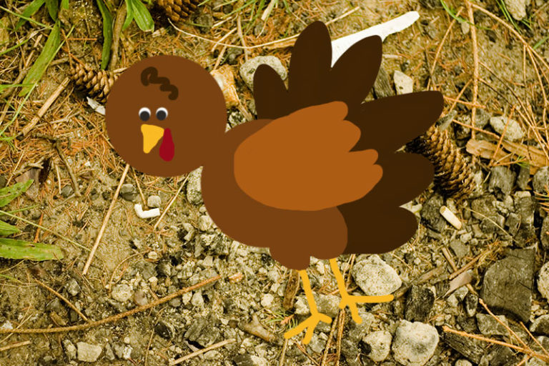 Names for Pet Turkeys From Tom & Tanya to Giblets & Gravy