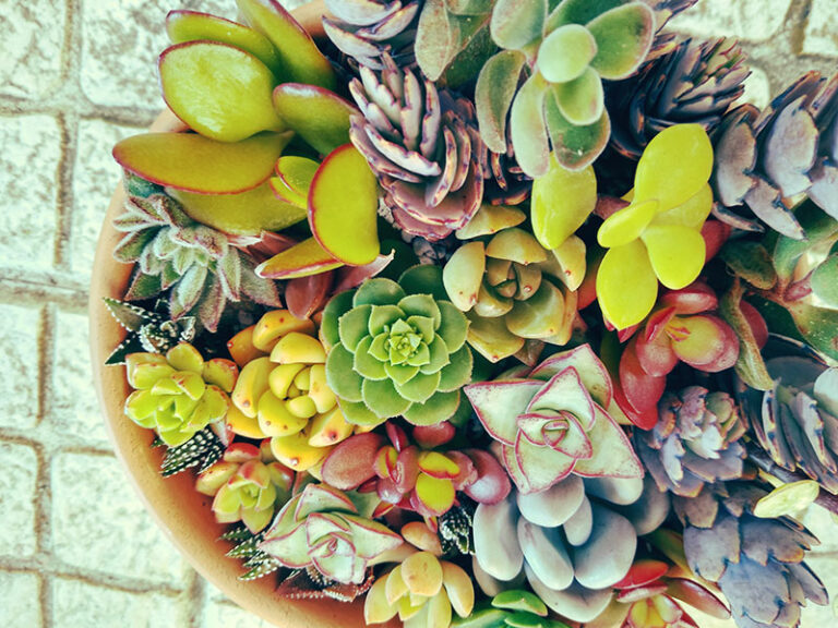 Enby Names Unique Nonbinary Names & Common Unisex Names for Enbies