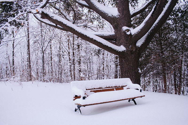 frosty-ice-names-names-that-mean-ice-more-from-yuki-to-xeo-to-boreal